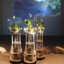 Augmented Fish Reality robotic art installation by Ken Rinaldo