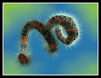 Twirlworm by Ken Rinaldo