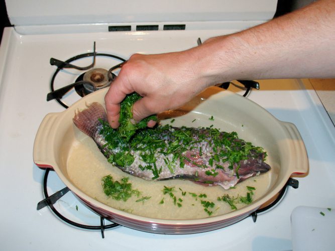 Ken is cooking a Farm Fountain Tilapia with herbs and wine sauce.