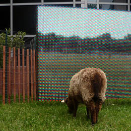 Virtual Pasture at Wexner center for the arts