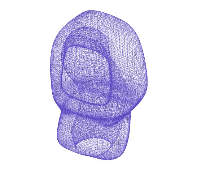 3D model of big toe