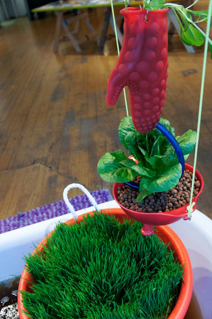 water flows from oven mitt to collander to wheatgrass