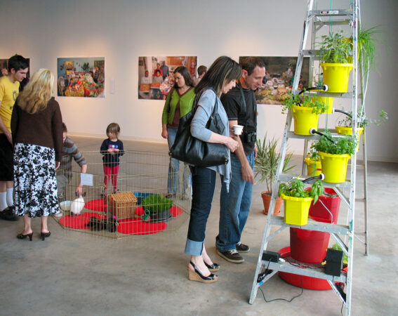 River Construct at the opening