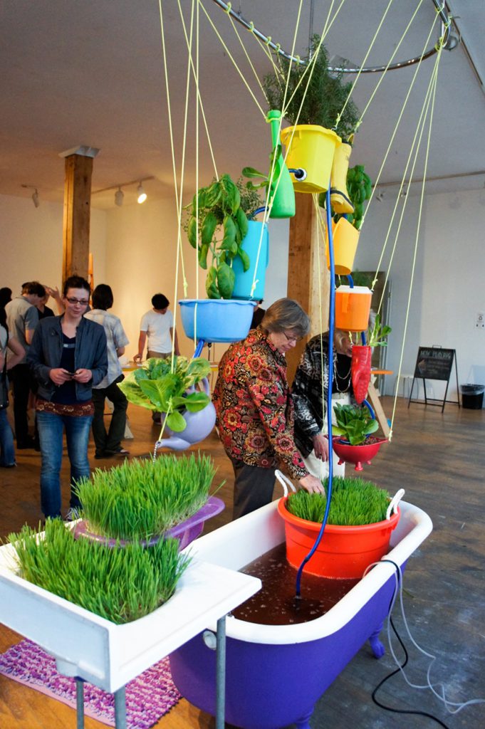 Sampling the wheatgrass