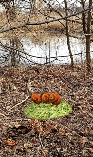 Augmented reality muskrats
