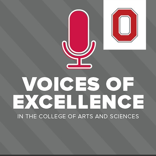 Interviewed on Voices of Excellence
