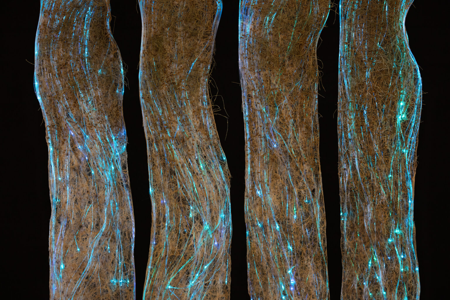 Roots Weaving Waves – Amy M. Youngs