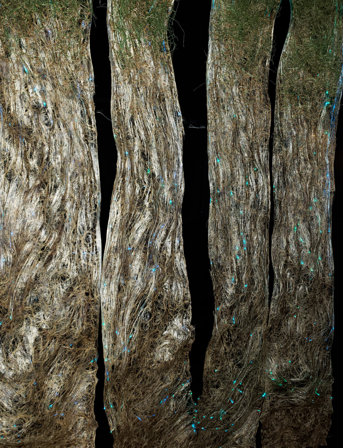 Roots Weaving Waves – Amy M. Youngs